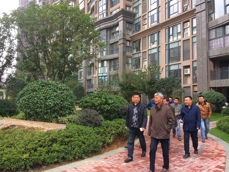 岳阳市园林局汪副局长一行 莅临华地第宅实地调查