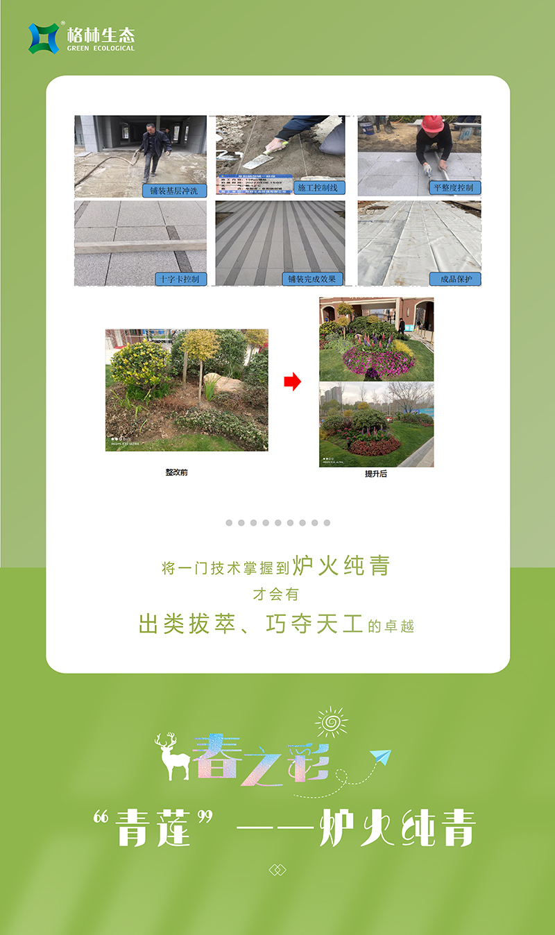 beb85a4ad663c279adc5749500e2fbe2 beb85a4ad663c279adc5749500e2fbe2